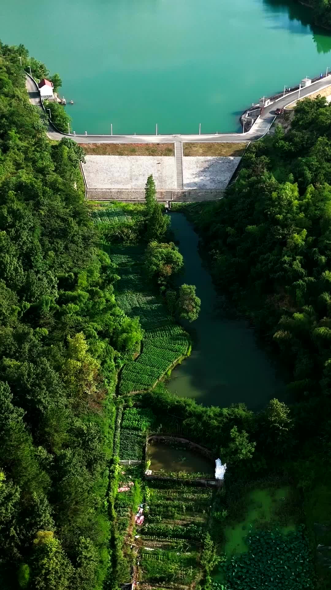 Episódio 1 - A Ruptura: Contra a Maré
